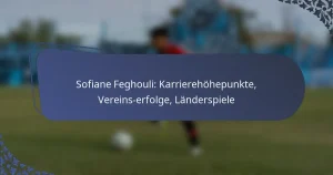 Sofiane Feghouli: Karrierehöhepunkte, Vereins­erfolge, Länderspiele