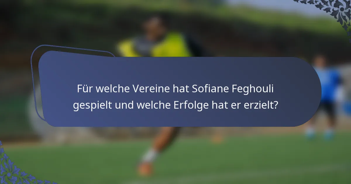 Für welche Vereine hat Sofiane Feghouli gespielt und welche Erfolge hat er erzielt?