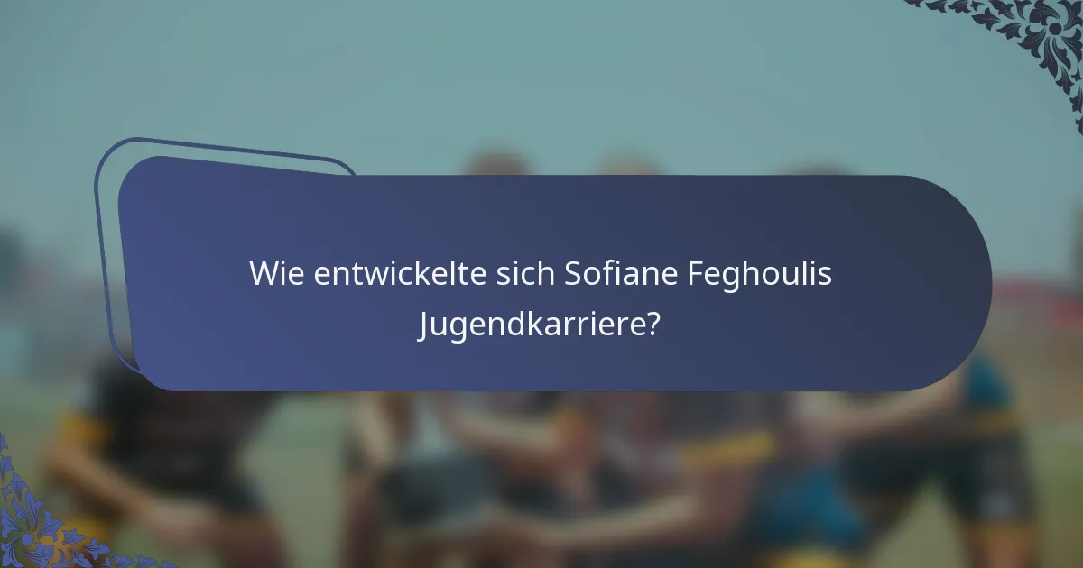 Wie entwickelte sich Sofiane Feghoulis Jugendkarriere?